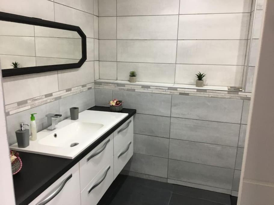 Hébergement de vacances Loft Le Nid De Cigogne Sélestat