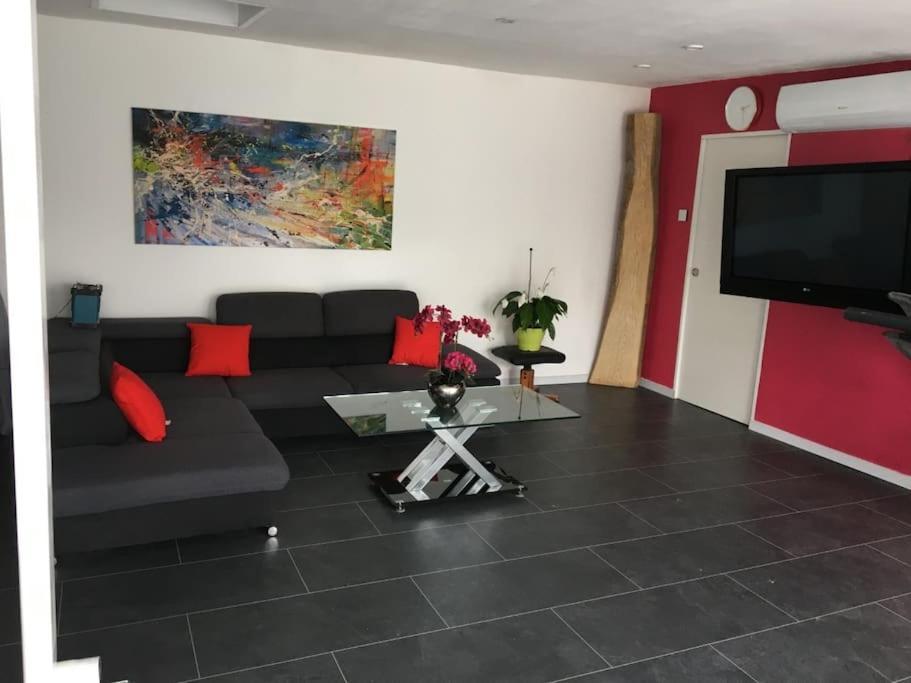 Loft Le Nid De Cigogne * Sélestat